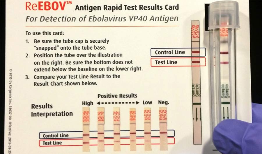 Field Validation of the ReEBOV Antigen Rapid Test for Point-of-Care Diagnosis of Ebola Virus Infection
