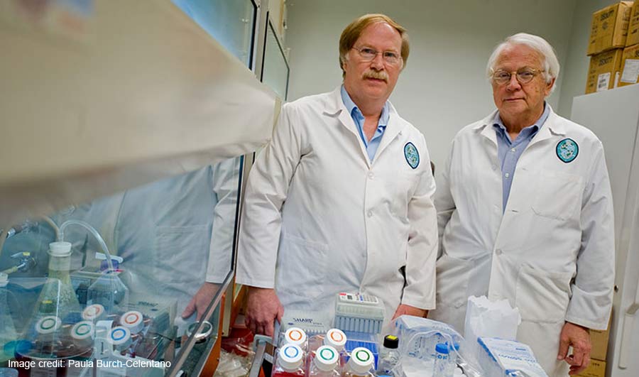 Tulane University awarded $12 million to create Lassa vaccine and treatment