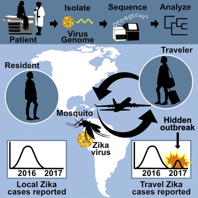 Zika surveillance study in Cell