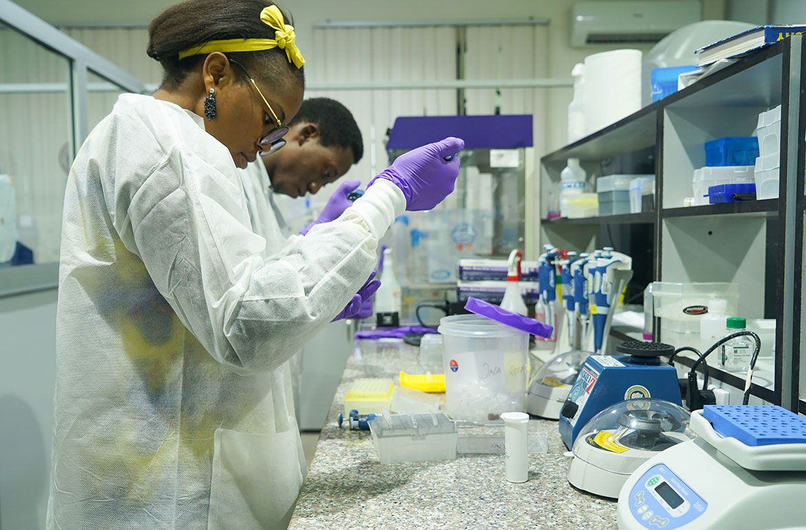 The next chapter for African genomics